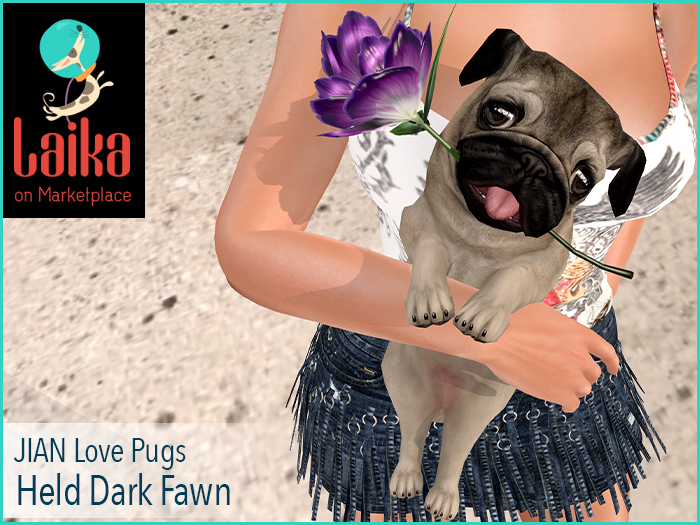 JIAN Love Pugs 17. Held Dark Fawn