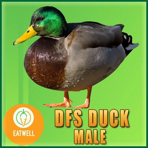 DFS Duck - Male (Actual Item) 0 Days Old