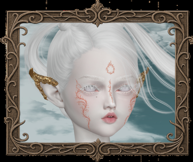 BELYY // DELICATE SCARIFICATION FACE EVOX BOM