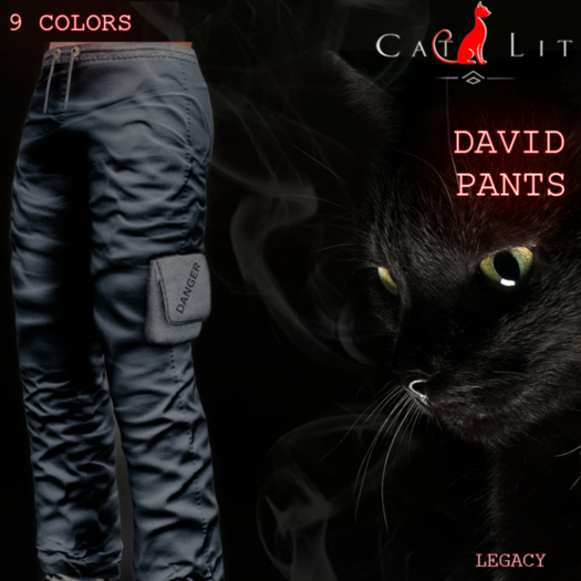 Cat Lit_Legacy Paints_David_ FATPACK