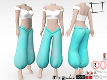 WC700 Princess Jasmine Harem Pants