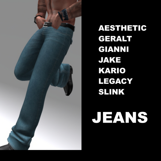 MALE WORKMAN JEANS