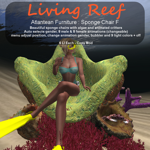 Inochi Reef - Atlantean - Sponge Chair F