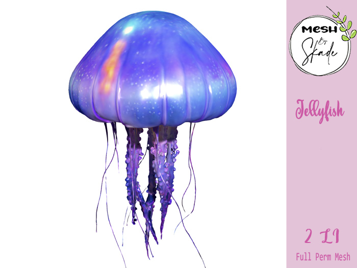 MBS - Jellyfish 