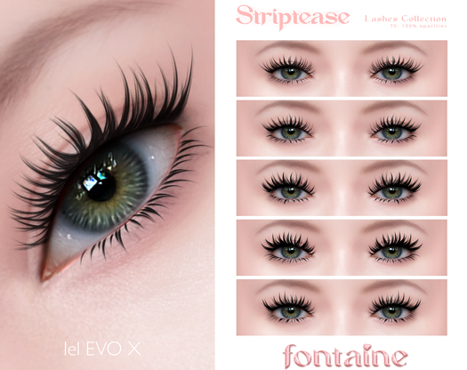 Fontaine Cosmetics - Striptease Lashes Collection - DEMO