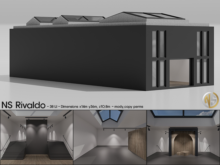 ::..NS..:: Rivaldo