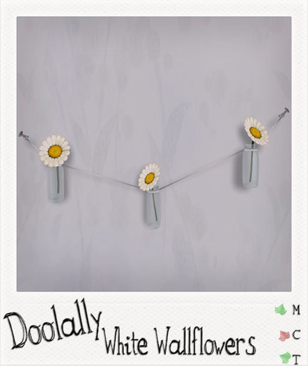 ~Doolally~ Wallflowers White