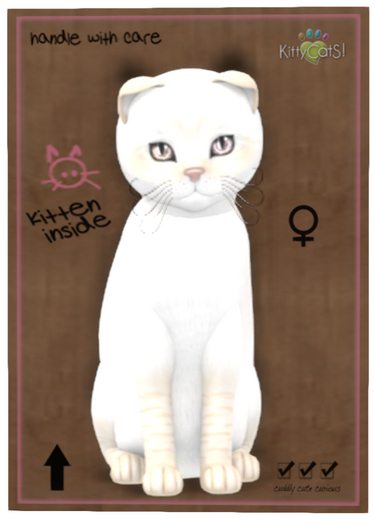 KittyCatS Box - 9TF SCOTTY BaliCrmLynx Puff DREAMY