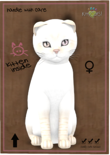 KittyCatS Box - 9TF SCOTTY BaliCrmLynx ODYFRAZWAV