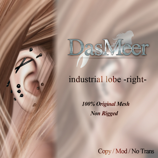 D-indusrial-lobe-outerconch R set