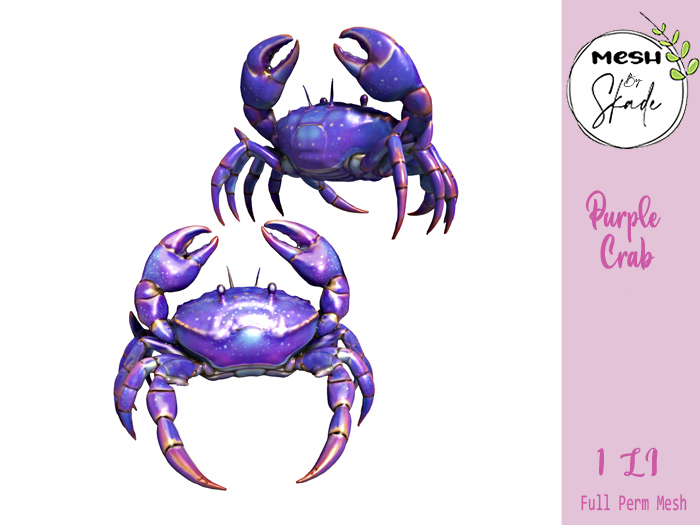 MBS - Purple Crab 