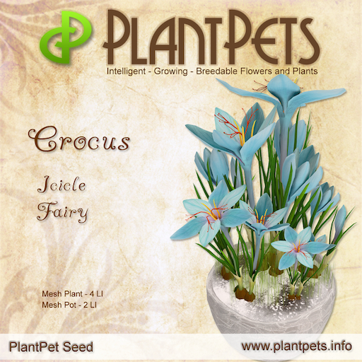 PlantPet Seed [Crocus *Icicle Fairy*] Rare Elite