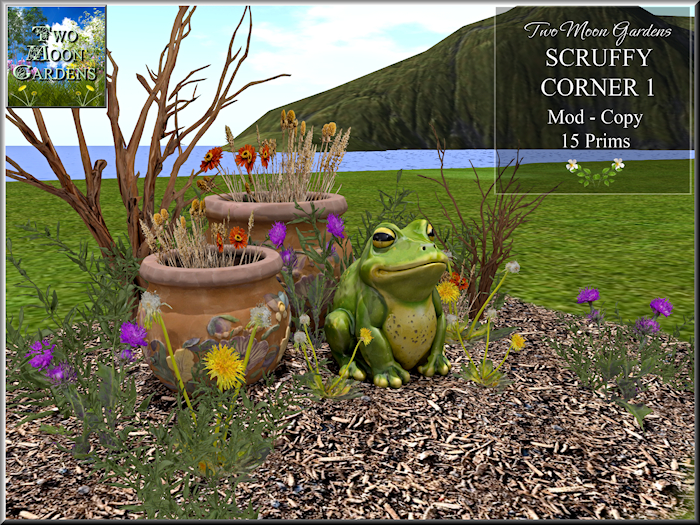Garden|ScruffyCorner