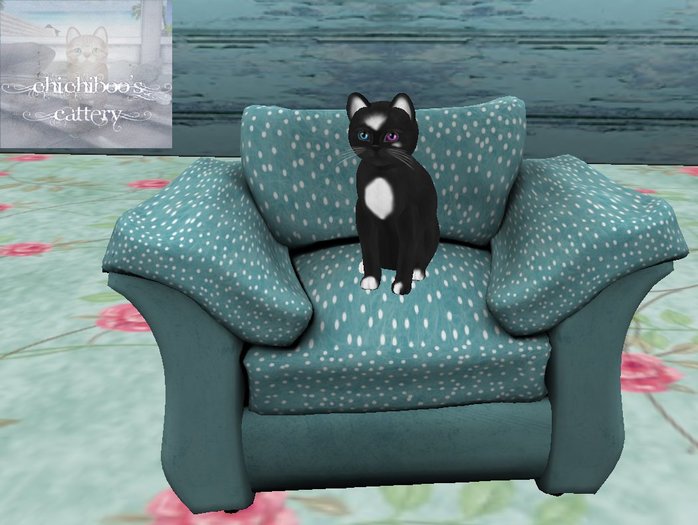 .:ChiChiBoo's:. Cat Chair-TextureChange Holiday