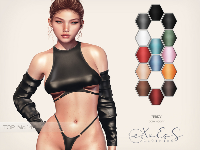 eXxEsS : Top 14 ║Perky║