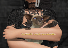 03-Mutresse-Dobby Cats-(add) RARE