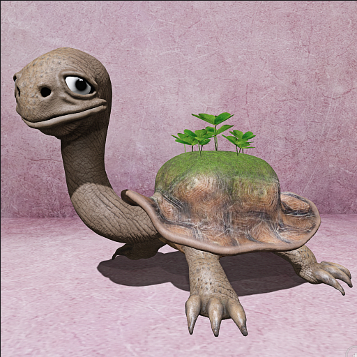 Cica's big clover turtle