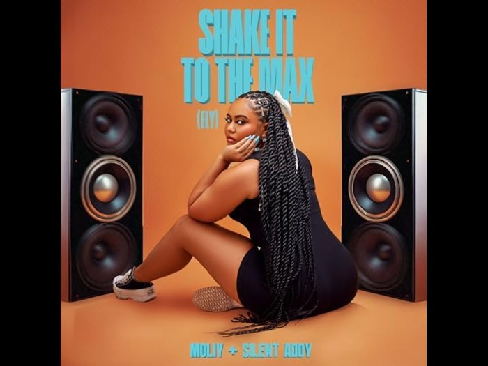 Shake It To The Max