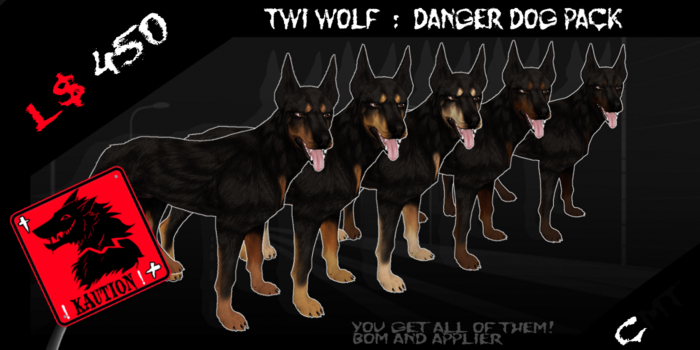 KAUTION! // Twi Wolf : Danger Dog Pack