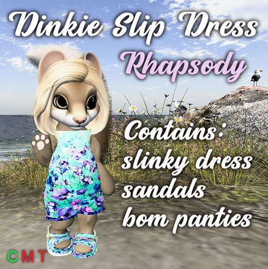 Dinkie Slip Dress Rhapsody