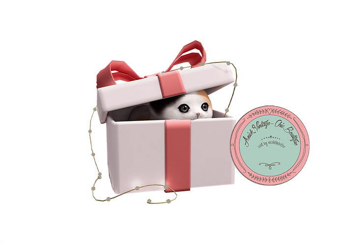 +Half-Deer+ Warm & Fuzzy - Hide in Box - Kitty