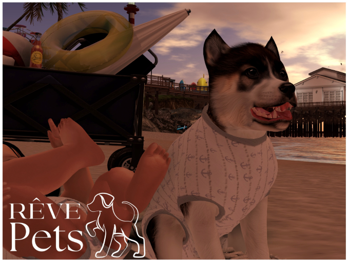 REVE Pets - Sweater Sailor Set