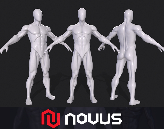 Male Mannequin  - Anatomy {Mesh}
