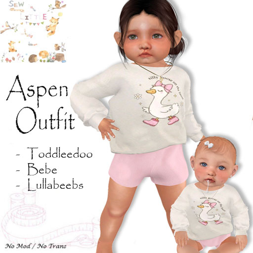 -S- Aspen Outfit TD, BB, LB