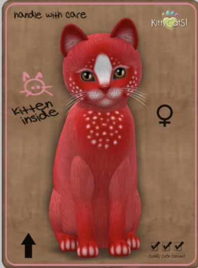 KittyCatS Box - Confetti - CherryBerry Female