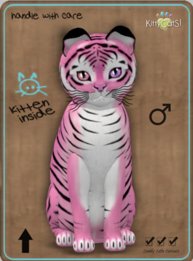 KittyCatS Box - Tiger! - Pinkie Winkie Male