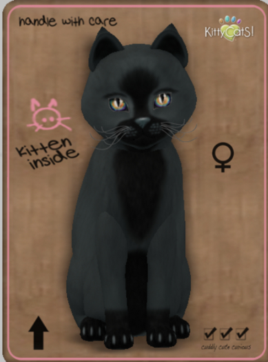KittyCatS Box - Faux Puff - Perfect Storm Female