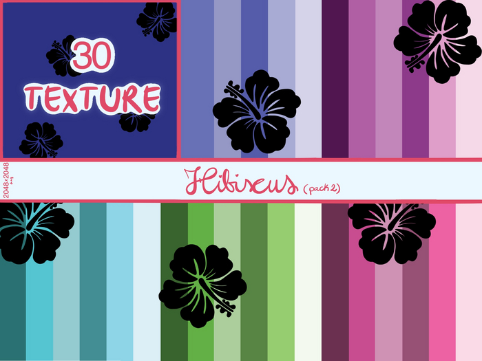Hibiscus (pack2)