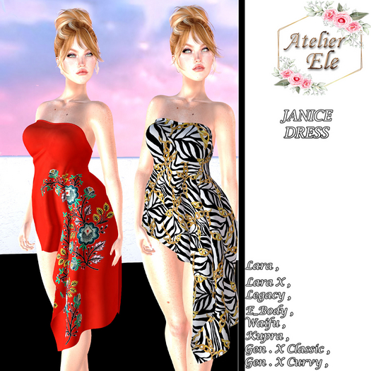 {AE}  JANICE DRESS