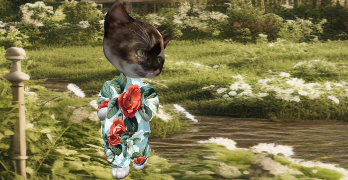 Botanical Rose Red Dinkie