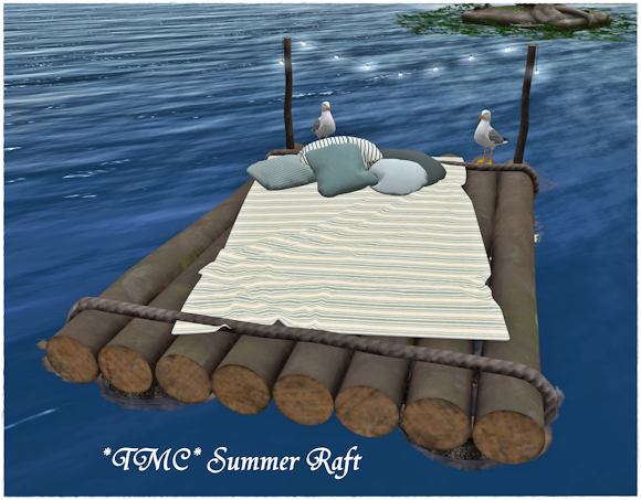 ~TMC~ Summer Raft