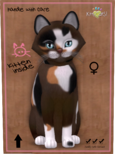 KittyCatS Box - F 6T Genesis Patch II Faded Night HDR Megapuss