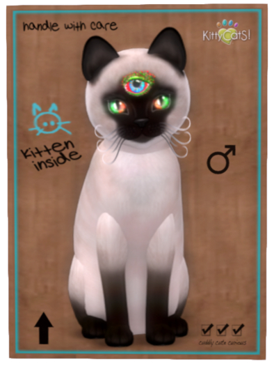 KittyCatS Box -7T Siamese-Seal Blinking Garden M 