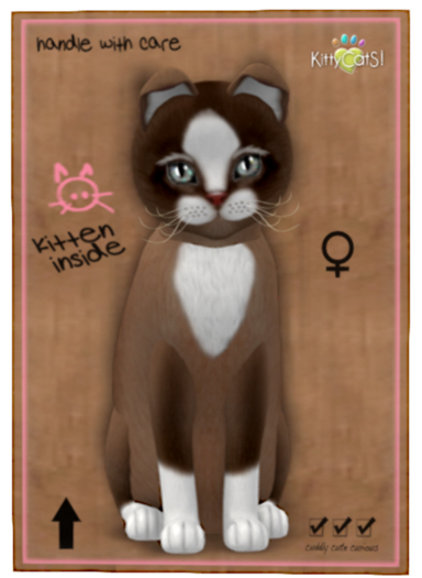 KittyCatS Box - 9TF - Chateau Cat - Toffee Caramel 