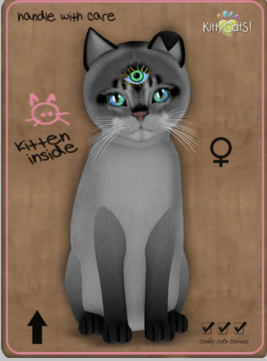 KittyCatS Box - Abyssinian - Salt & Pepper Female