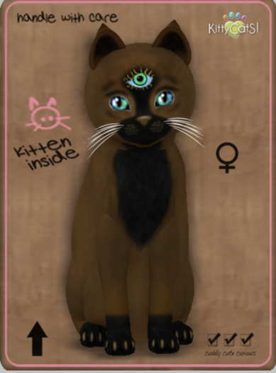 KittyCatS Box - Faux Puff - Chai Latte Female