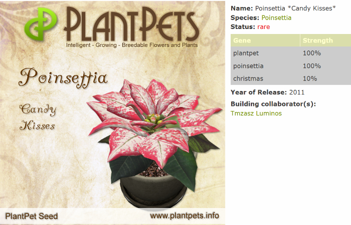 PlantPet Seed [Poinsettia *Candy Kisses*]