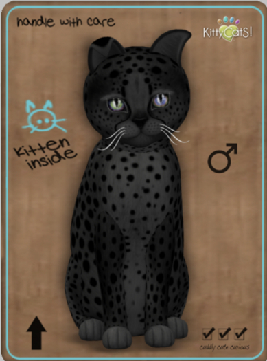 KittyCatS Box - Cheetah! - Exotic Black Male