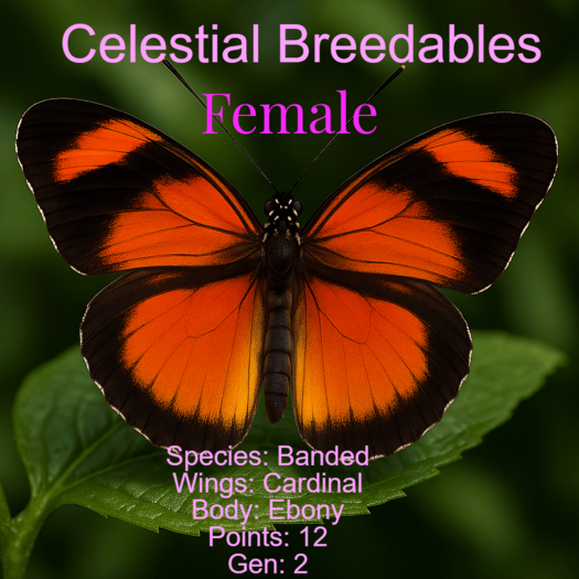 Banded Cardinal Second Life Marketplace - Female - Banded - Cardinal - Ebony - 12 - Gen 2