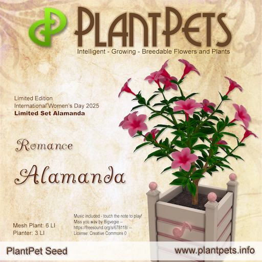 PlantPet Seed [Alamanda *Romance*] Limited