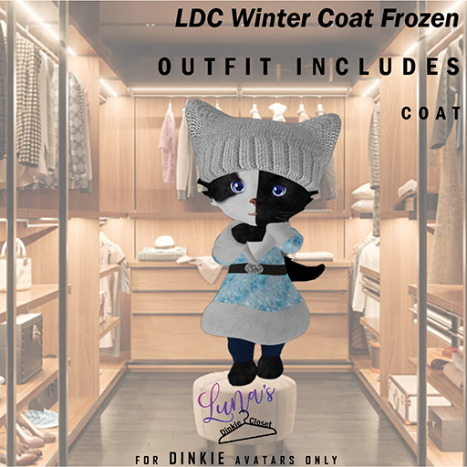 LDC Winter Coat Frozen