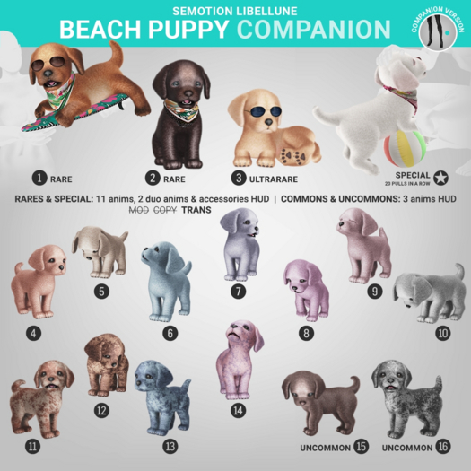 SEmotion Libellune Beach Puppy Companion RARE 01