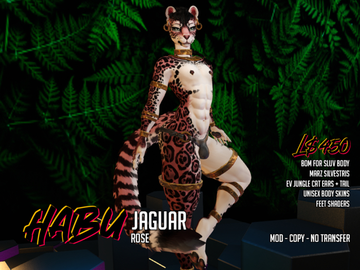 [HABU] Jaguar - Rose