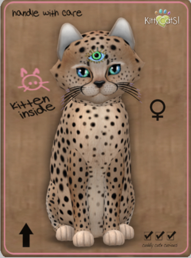 KittyCatS Box - Cheetah! - Au Natural Female