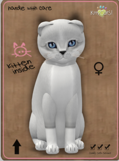 KittyCatS Box - Foxie - Snow Female