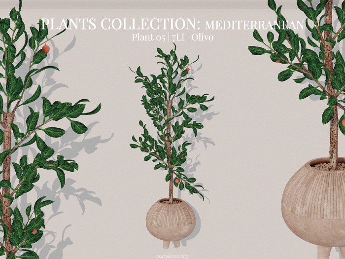 MINIMAL - Plants Collection-Mediterranean 5